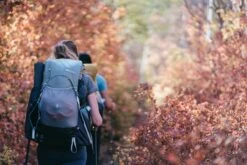 Gossamer Gear Mariposa 60L W/hipbelt -Backpacking Light Salg 128049268 origpic 91f511